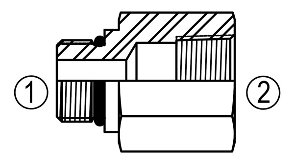 SS6405 Straight/Female Pipe Adapter