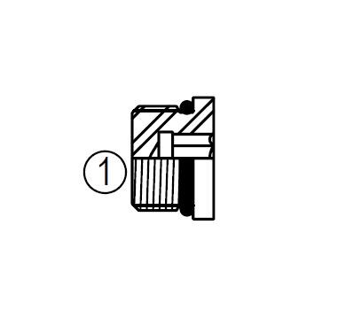 6409 Hexagon Socket O-ring Boss Plug